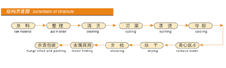 脫水蔬菜干燥機(jī)A3